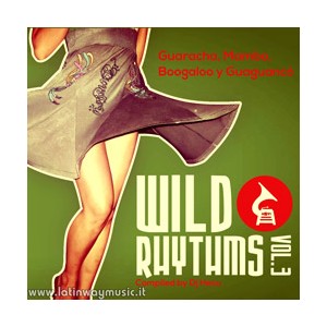 Wild Rhythms Vol.3 - CD